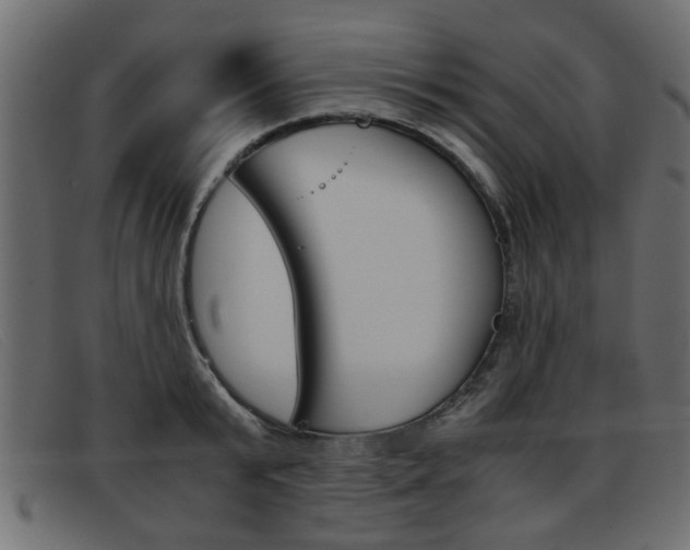 X0000093390799200710111347
