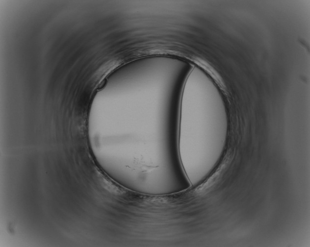X0000093390801200710111347