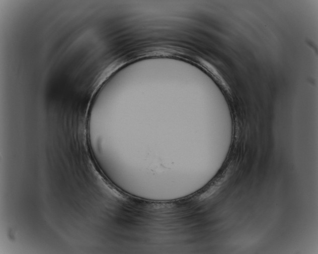 X0000093390802200710111347