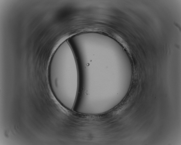 X0000093390803200710111347