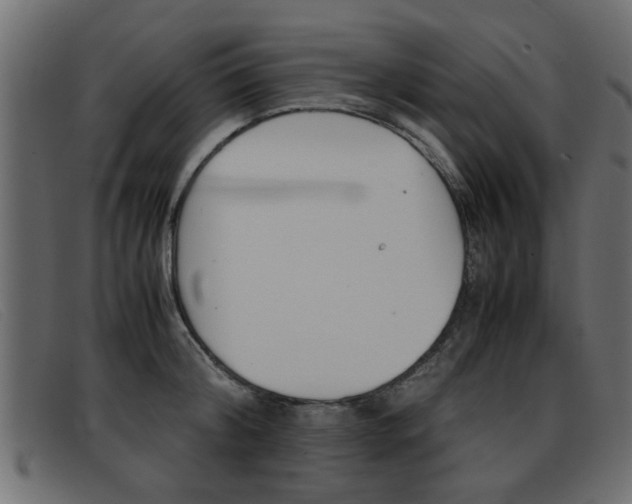 X0000093390804200710111347
