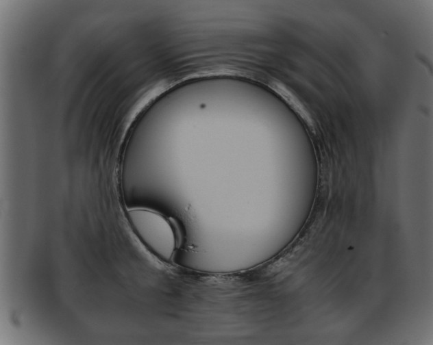 X0000093390805200710111347