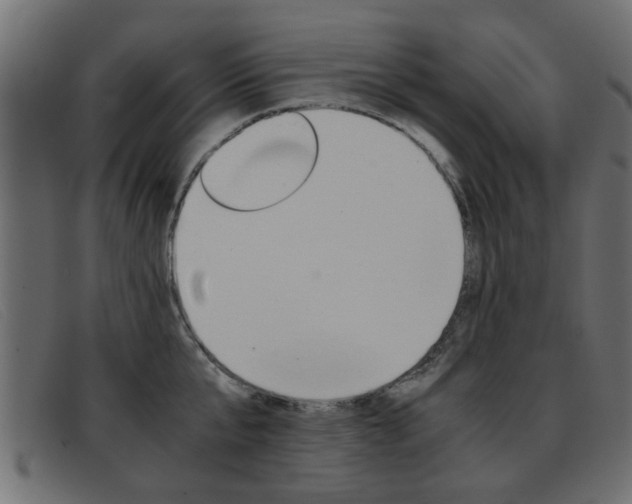 X0000093390807200710111347
