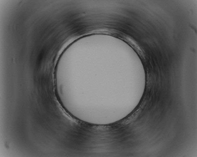 X0000093390808200710111347