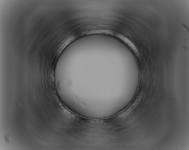 X0000093390809200710111346