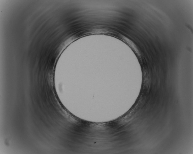 X0000093390810200710111346