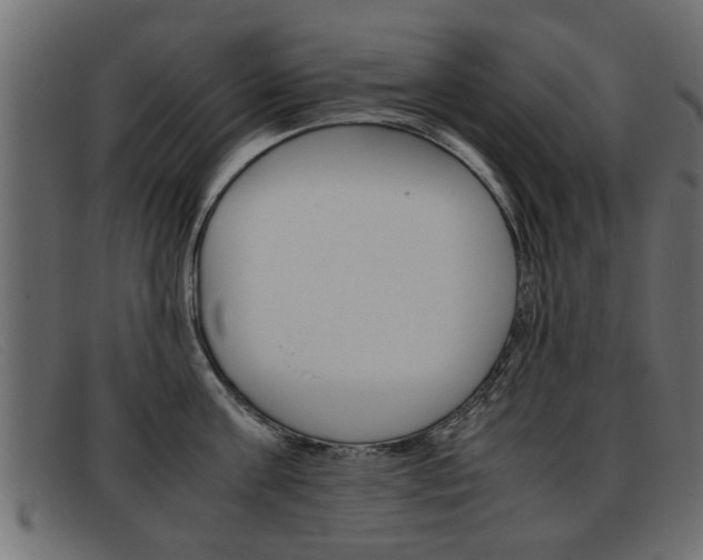 X0000093390811200710111346