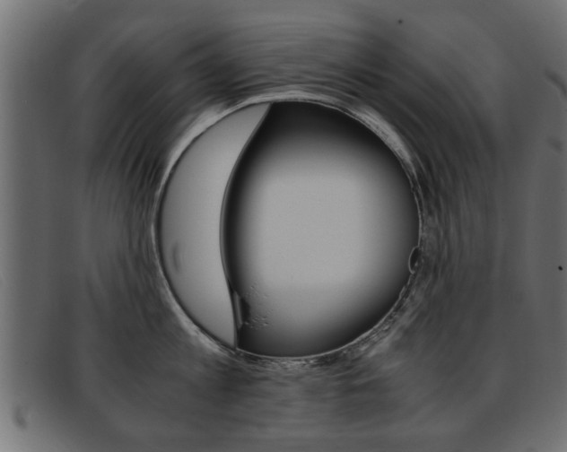 X0000093390813200710111346