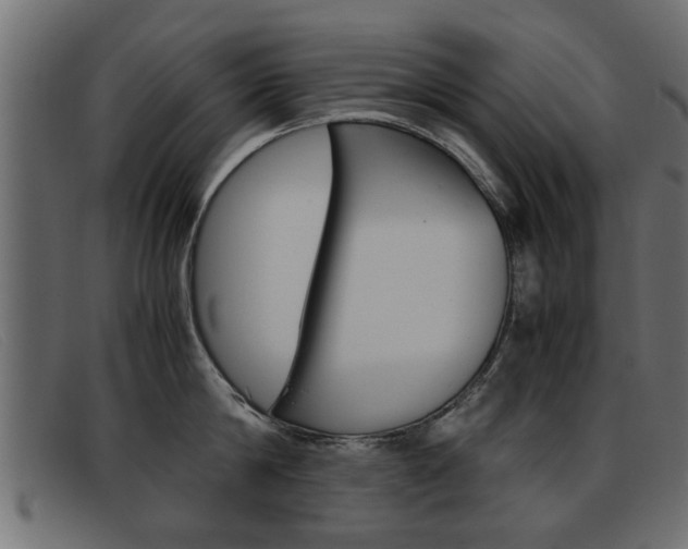 X0000093390814200710111346