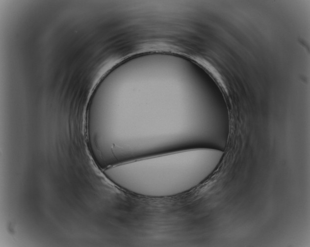 X0000093390815200710111346