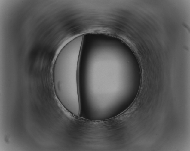 X0000093390816200710111346