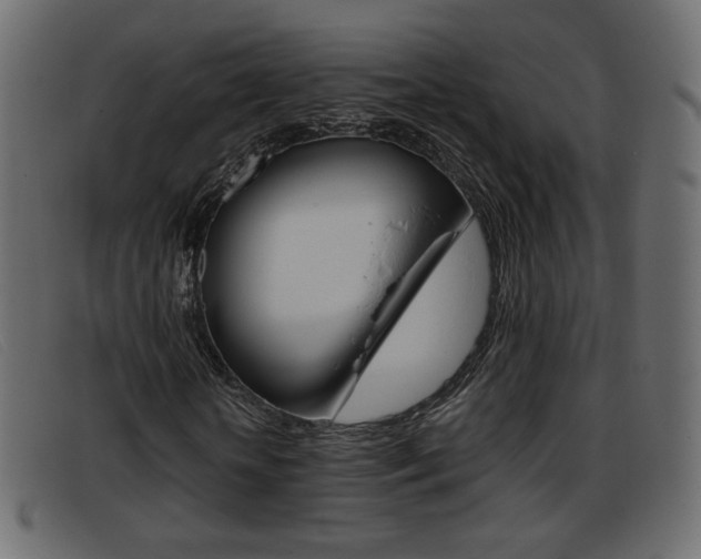 X0000093390818200710111346