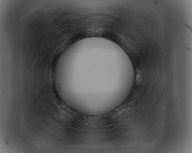 X0000093390819200710111346