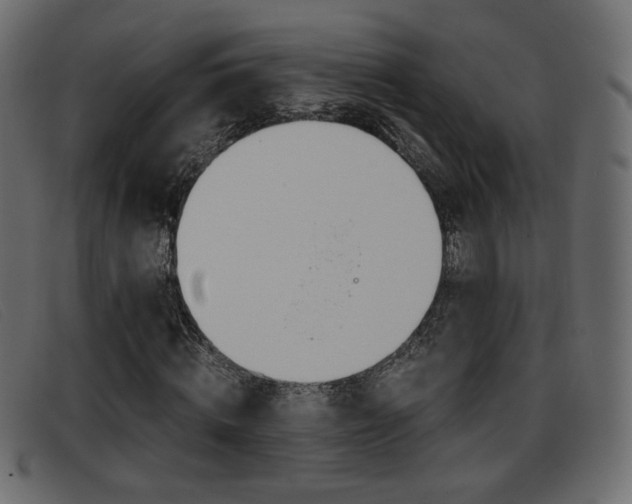 X0000093390820200710111346