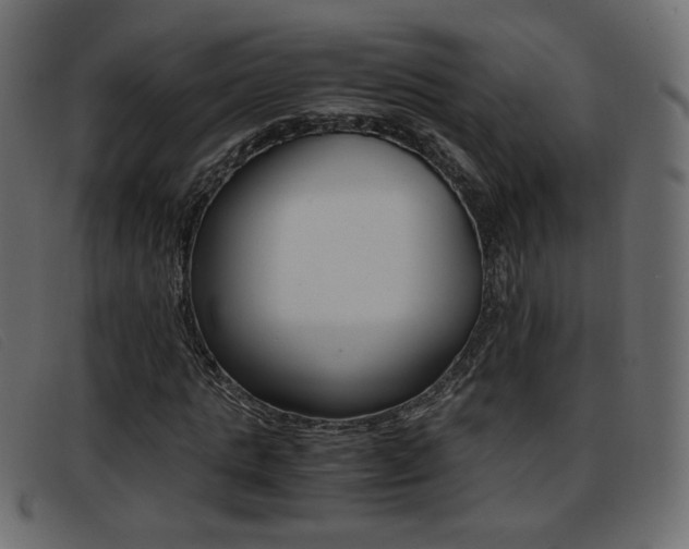 X0000093390821200710111346