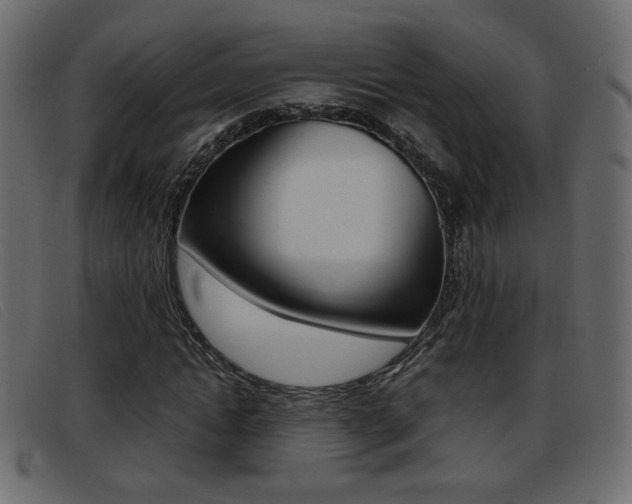 X0000093390822200710111346