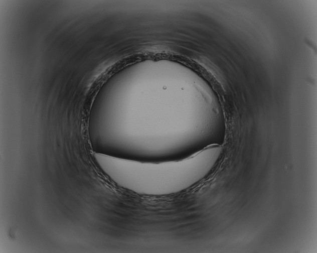 X0000093390823200710111346