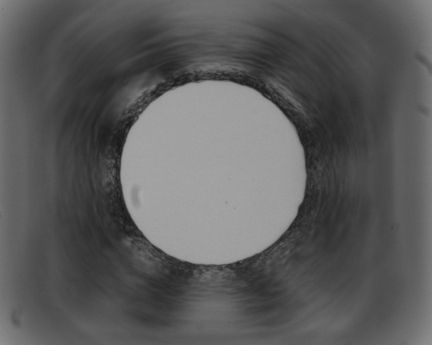 X0000093390824200710111346