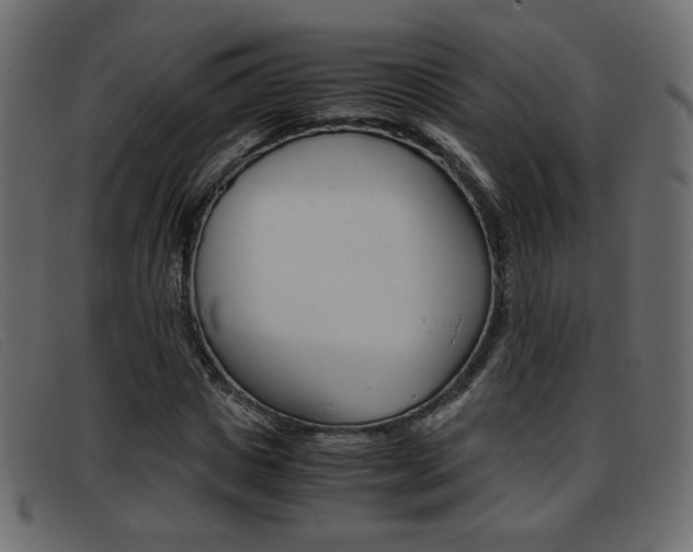 X0000093390825200710111346