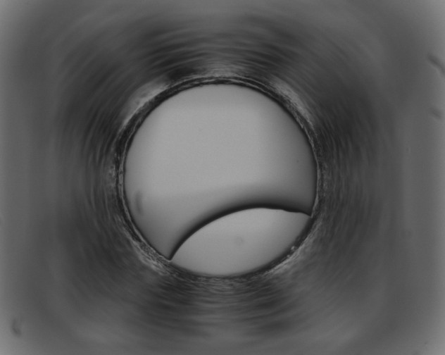 X0000093390827200710111346