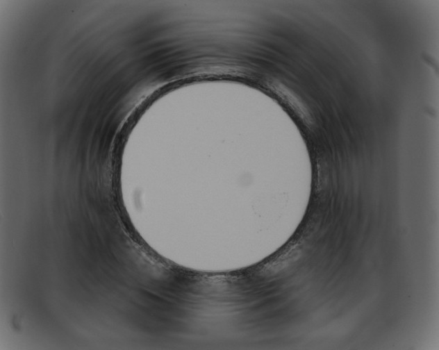X0000093390828200710111346