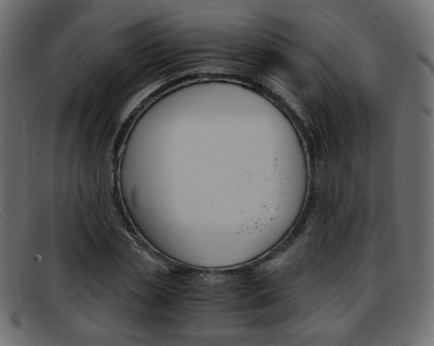 X0000093390829200710111346
