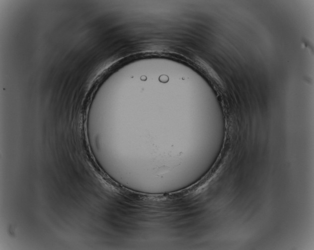 X0000093390831200710111346