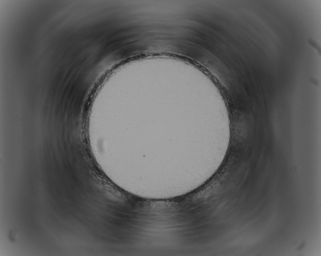 X0000093390832200710111346