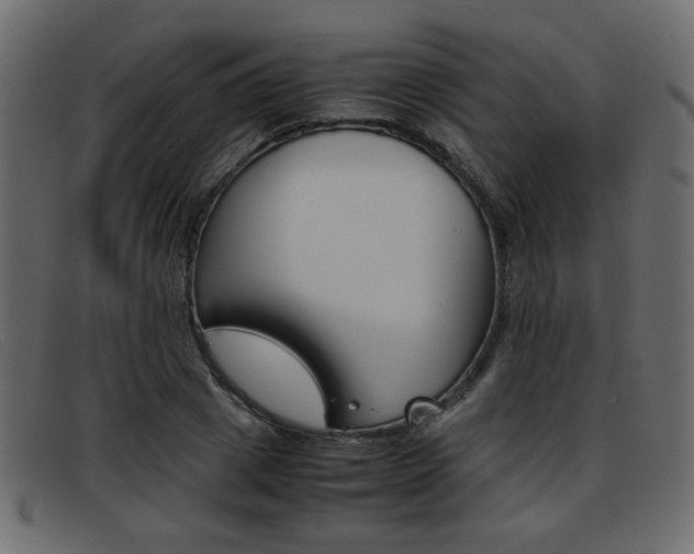 X0000093390833200710111346