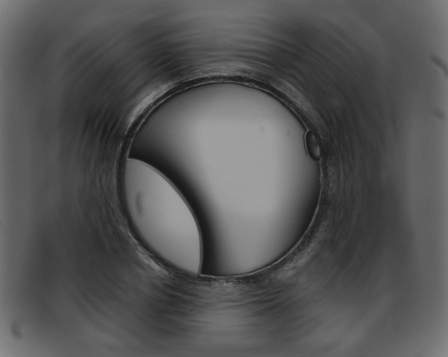 X0000093390834200710111346