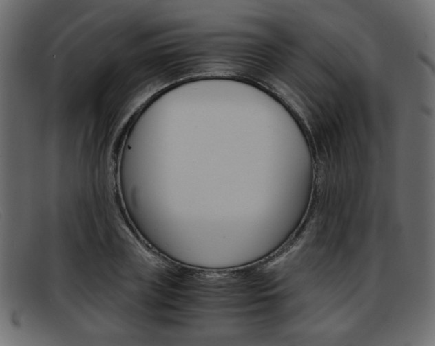 X0000093390835200710111346