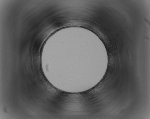 X0000093390836200710111346