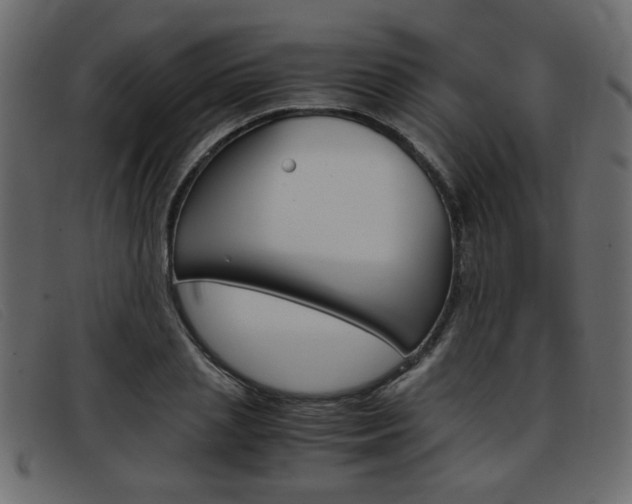 X0000093390837200710111346