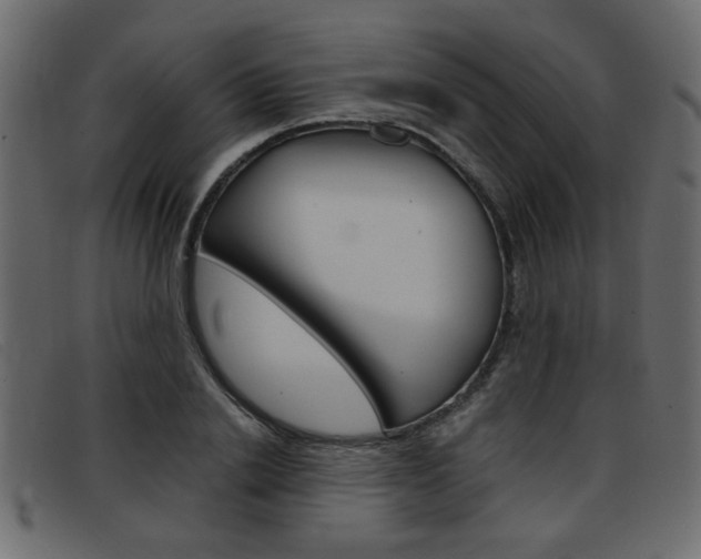 X0000093390838200710111346
