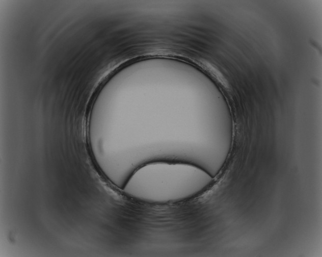 X0000093390839200710111346