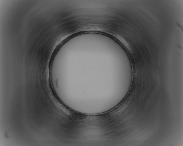 X0000093390840200710111346