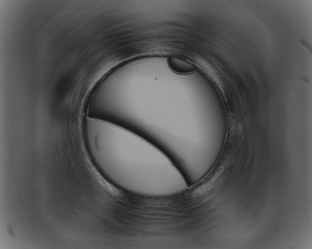 X0000093390843200710111346