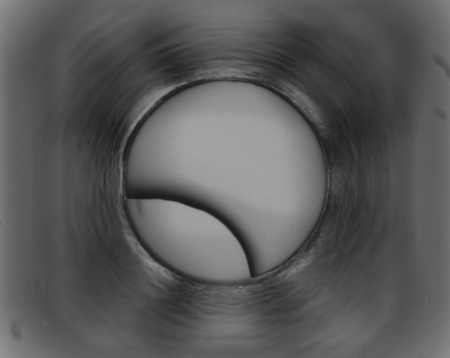 X0000093390844200710111346