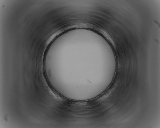 X0000093390845200710111346