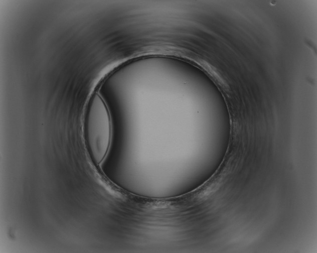 X0000093390846200710111346