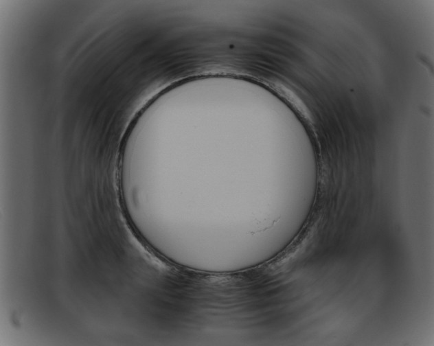 X0000093390847200710111346