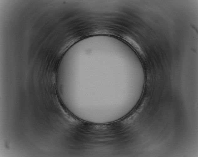 X0000093390849200710111346