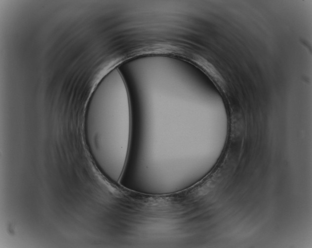 X0000093390850200710111346