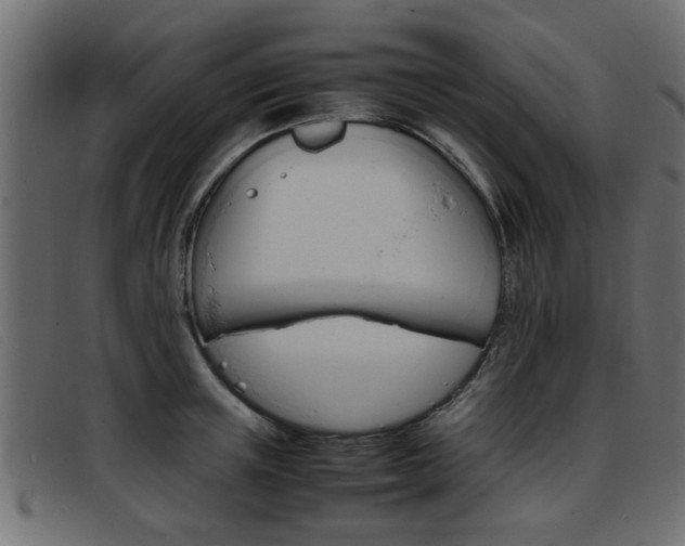 X0000093390851200710111346