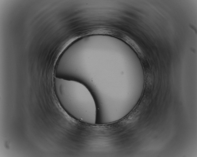 X0000093390852200710111346