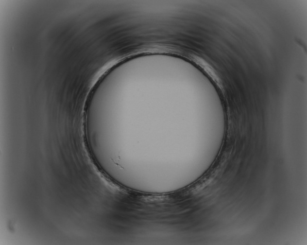 X0000093390853200710111346