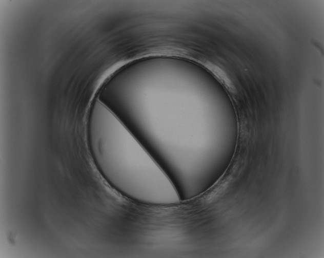 X0000093390854200710111346