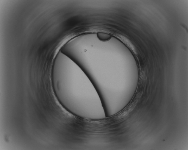 X0000093390855200710111346