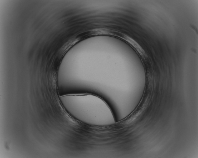 X0000093390857200710111346