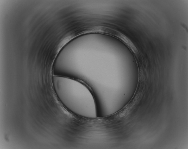 X0000093390858200710111346